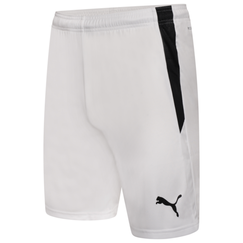 Team Liga Shorts Puma Football Shorts 4Sports Group